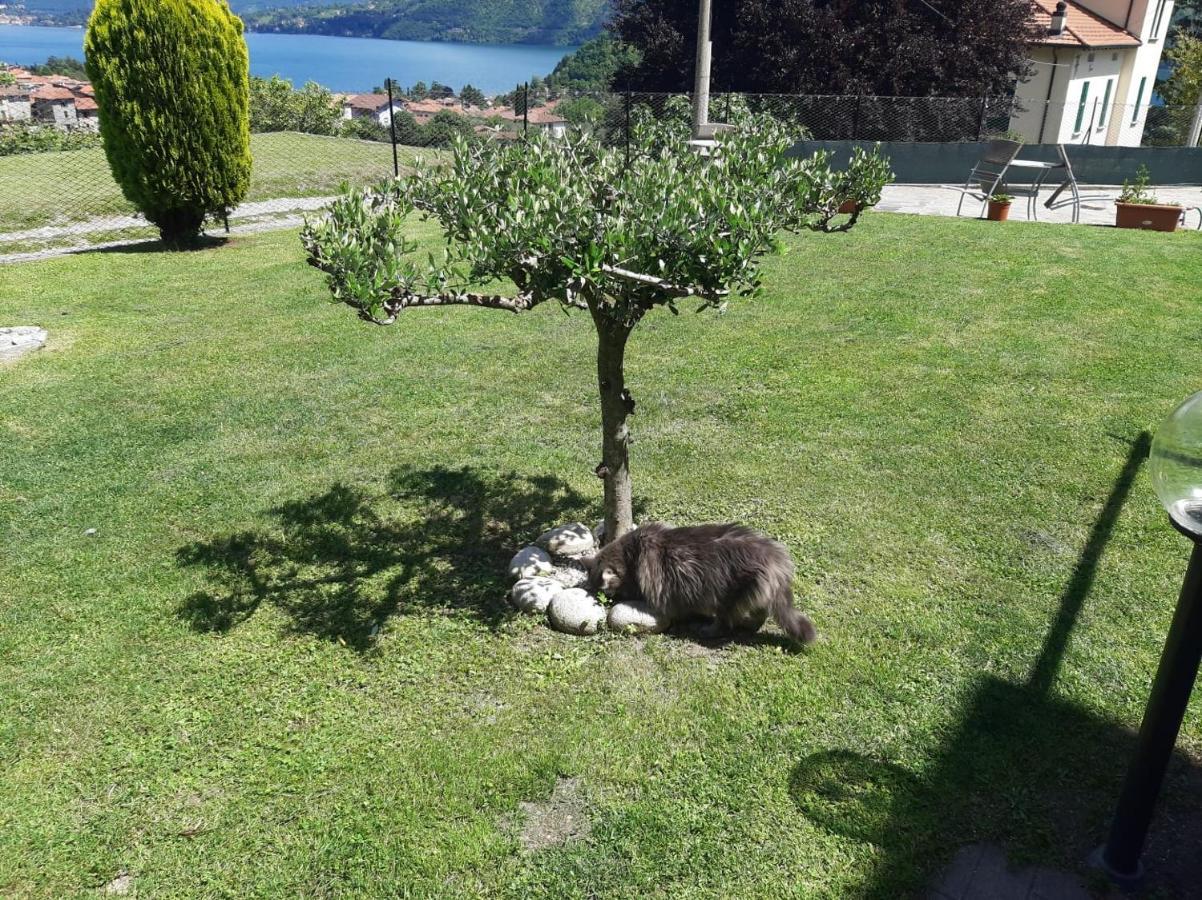 B&B Garzola Ossuccio Bagian luar foto